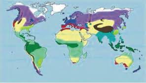 Đánh giá thực trạng vùng để xây dựng bản đồ phân vùng lũ quét chính xác nhất